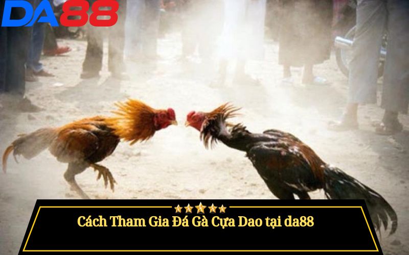 Đá Gà Cựa Dao Là Gì