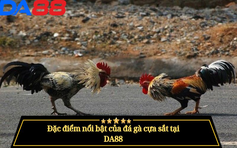 Đá Gà Cựa Sắt Là Gì