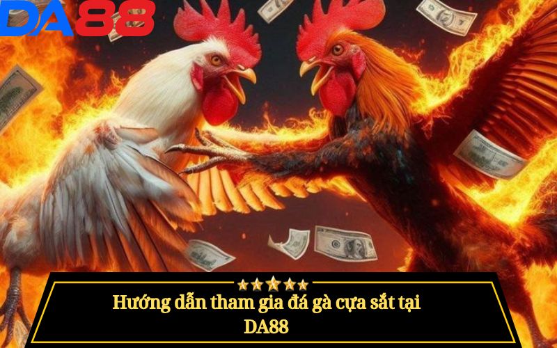 Đá Gà Cựa Sắt Là Gì