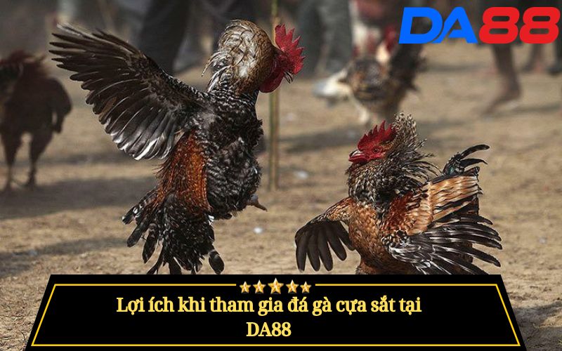 Đá Gà Cựa Sắt Là Gì