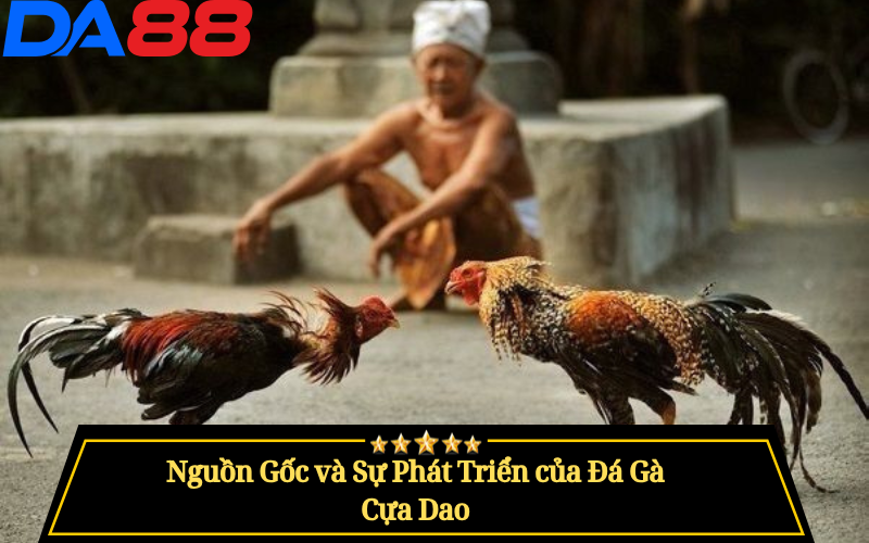 Đá Gà Cựa Dao Là Gì